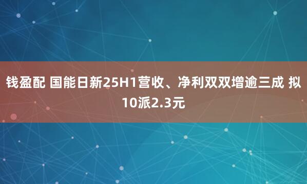 钱盈配 国能日新25H1营收、净利双双增逾三成 拟10派2.3元
