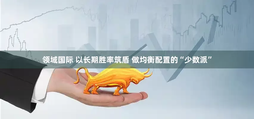 领域国际 以长期胜率筑盾 做均衡配置的“少数派”