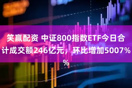 笑赢配资 中证800指数ETF今日合计成交额246亿元，环比增加5007%